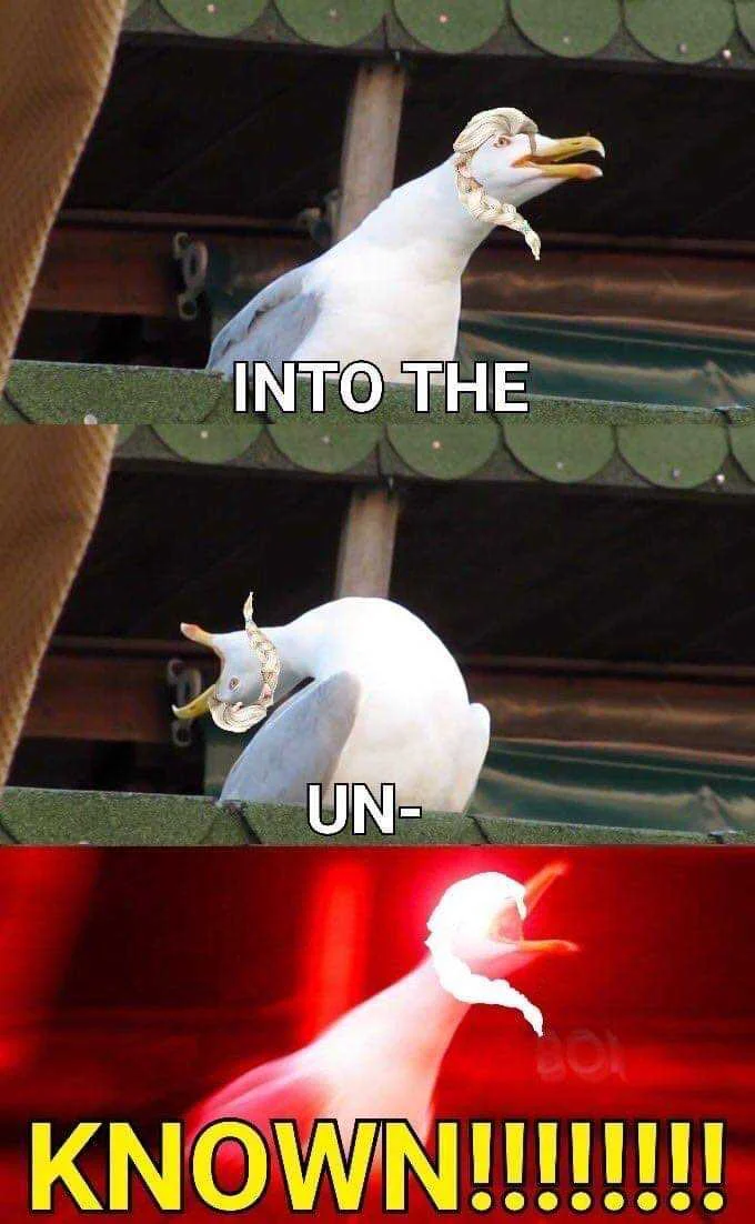 received_1161829130873888.jpeg