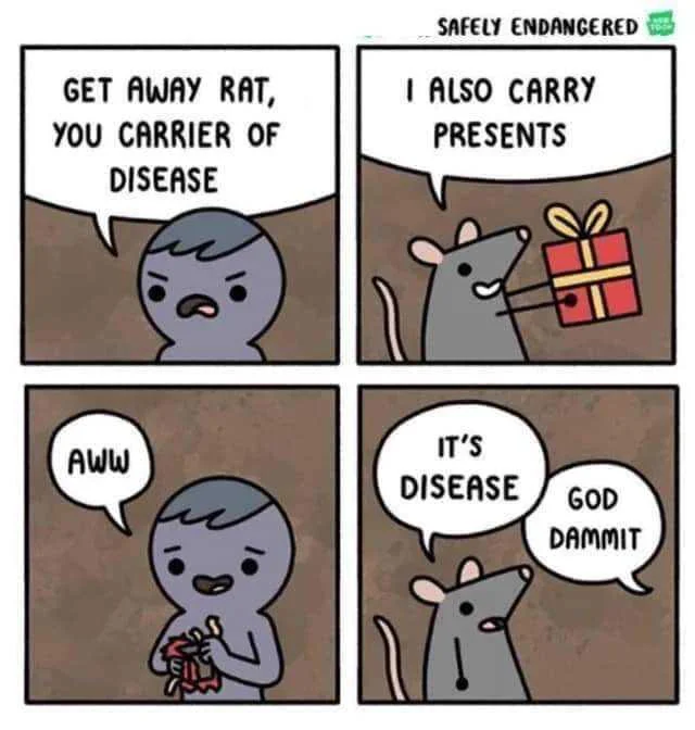 Darn rats