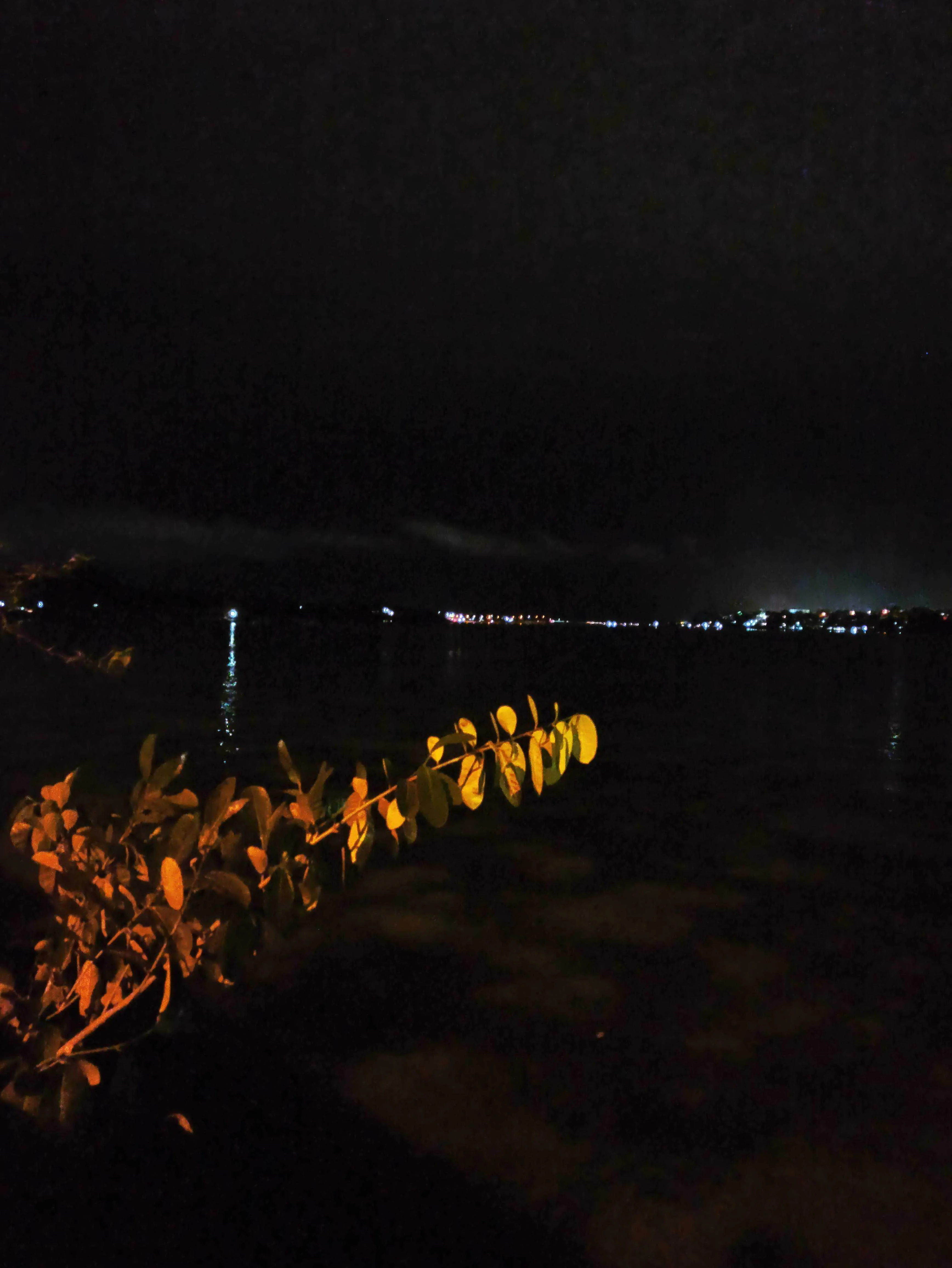 IMG_20200114_203227.jpg