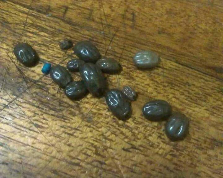 Raisins