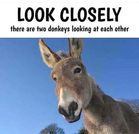 Look closely