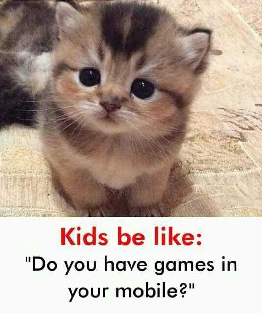 Cutie_meow.jpg
