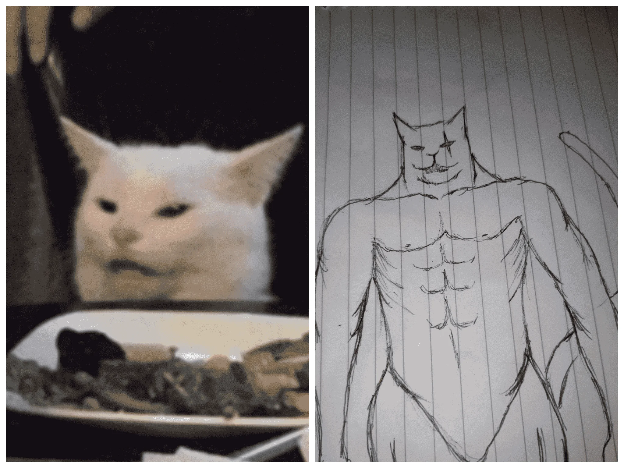 White cat meme revealed XD!