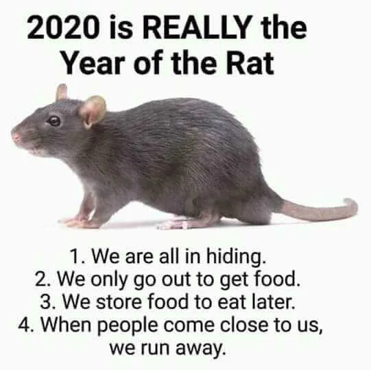 2020