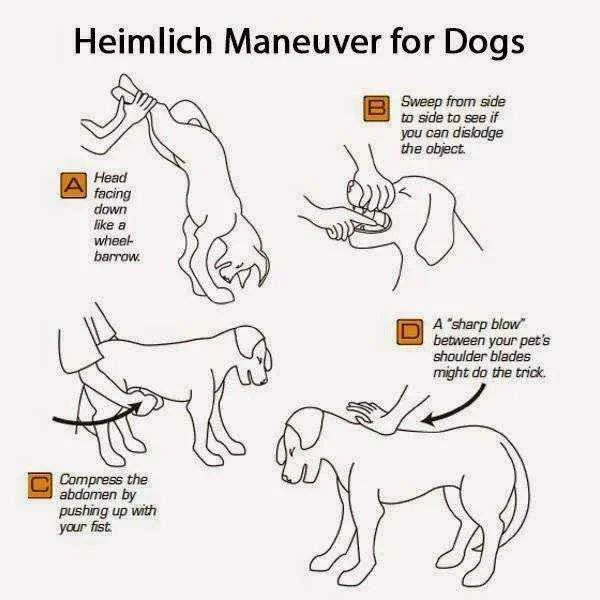 Watchout