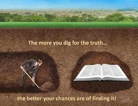 FB_IMG_15933476166845287.jpg
