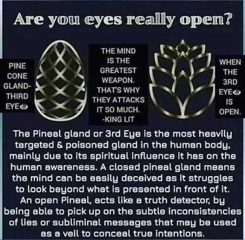 Pineal Gland