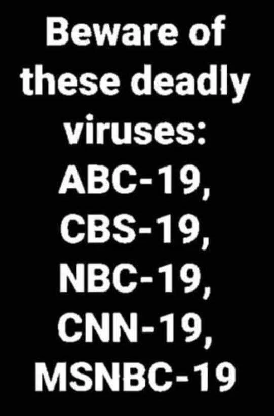 Viruses