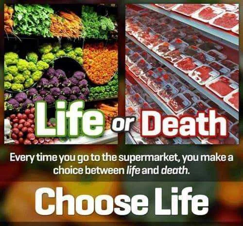 Choose Life
