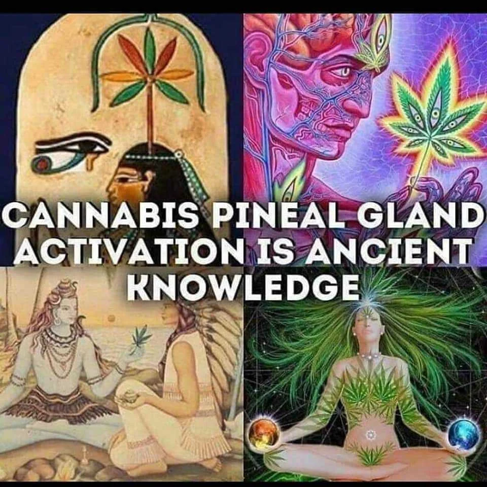 Ancient Knowledge
