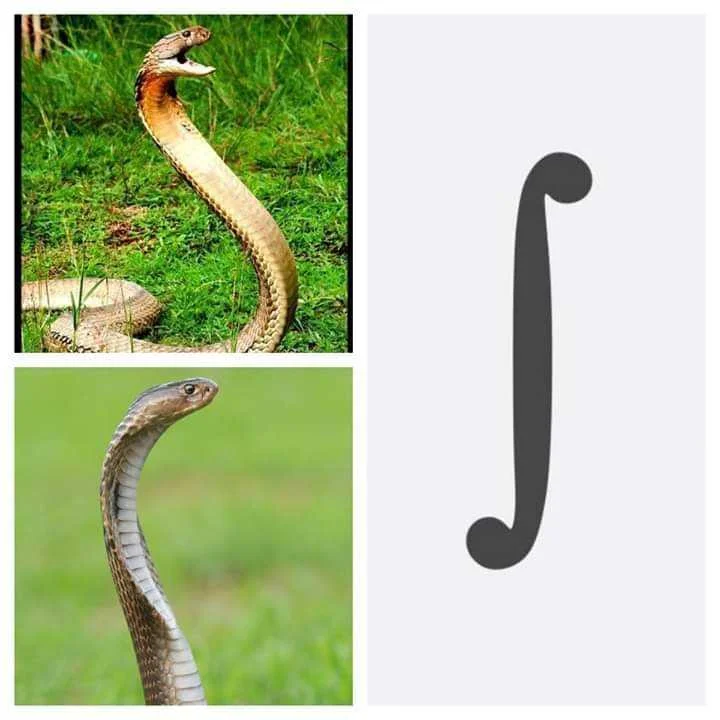 Shhhh