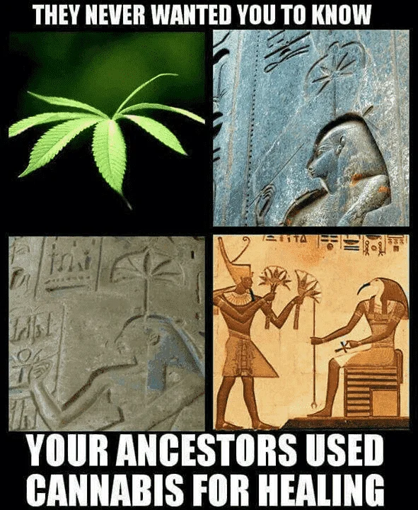 Ancestors