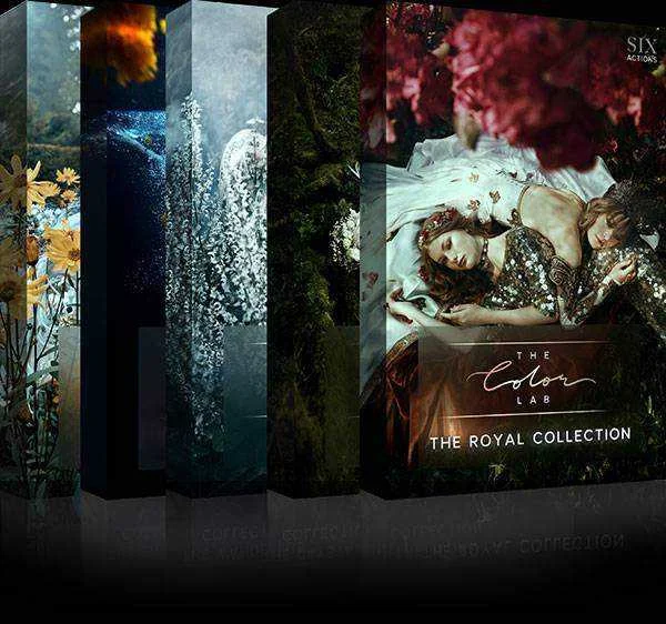 The Color Lab - Fine Art Bundle.jpg