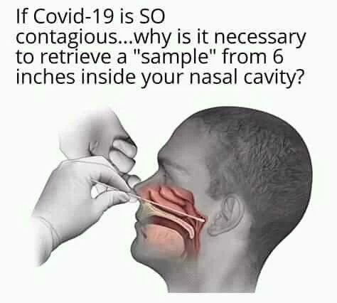 FB_IMG_15965401717861838.jpg