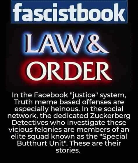 FB_IMG_15965400311983137.jpg