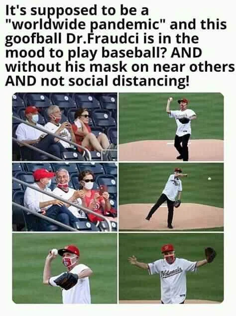 FB_IMG_15965399262157500.jpg