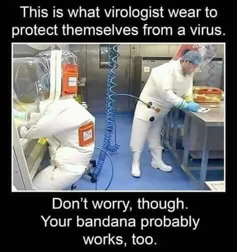 FB_IMG_15963746514450086.jpg