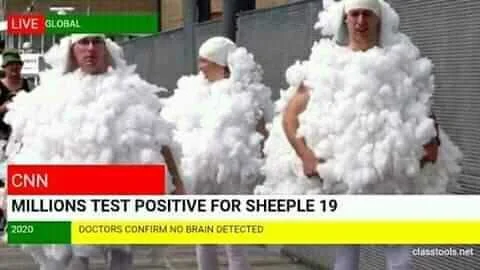 118592896_3144070502370888_3065434749310809494_n.jpg