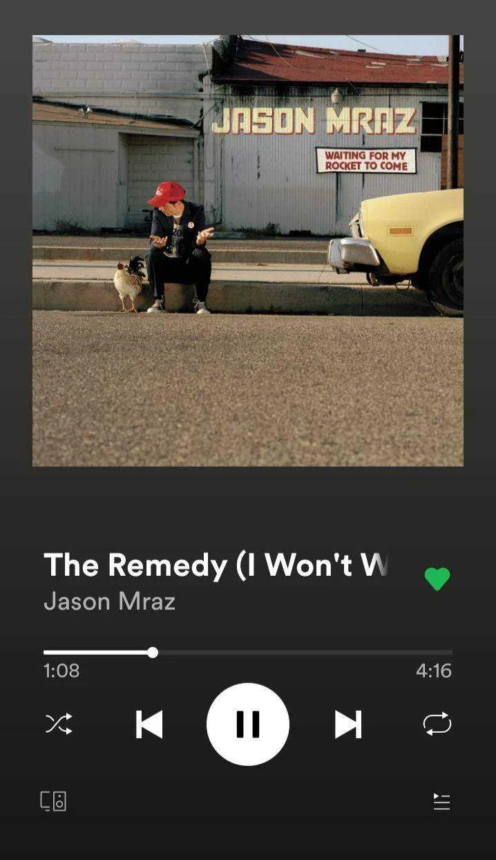 The Remedy (I won't worry).JPG
