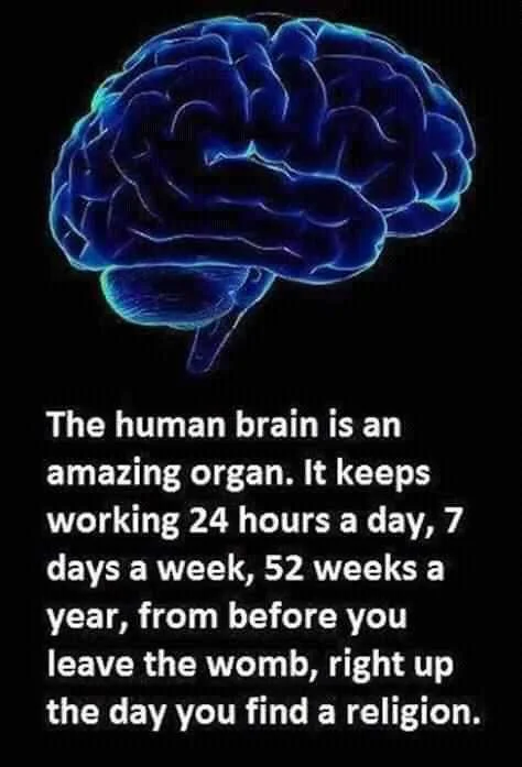 FB_IMG_15994117428451677.jpg