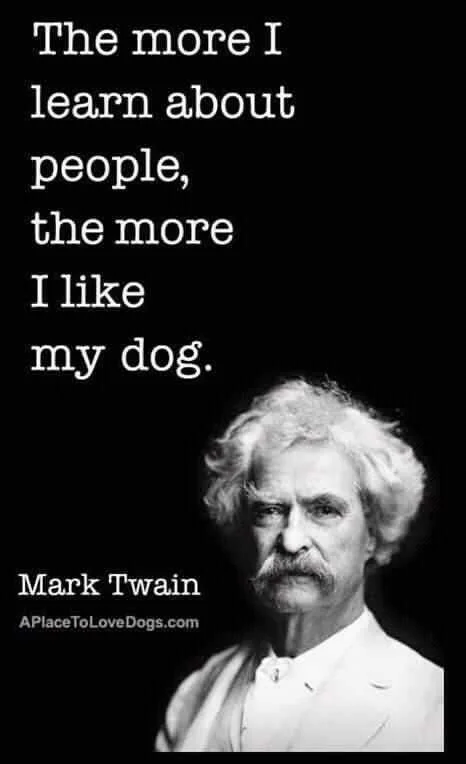 FB_IMG_15994115808683479.jpg