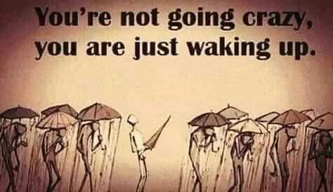 FB_IMG_15994115246349076.jpg