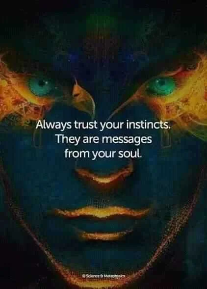 FB_IMG_16003358478081863.jpg