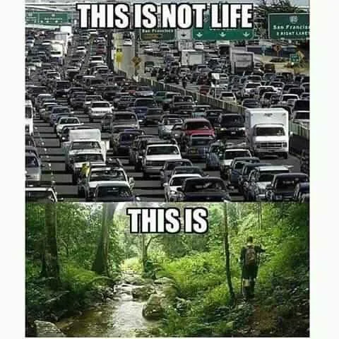 FB_IMG_16003357948845632.jpg