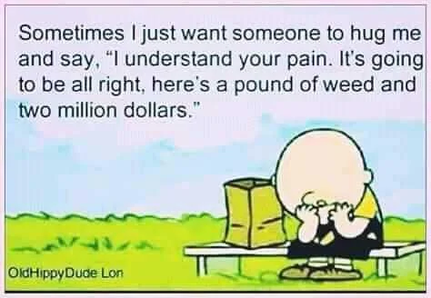 FB_IMG_16003350726996641.jpg