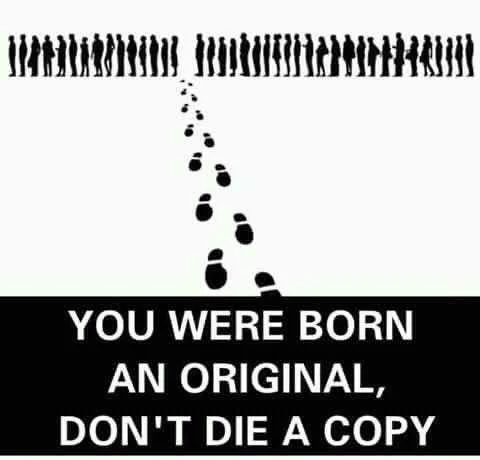 FB_IMG_15999043091929617.jpg