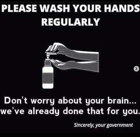 FB_IMG_15999041929714332.jpg