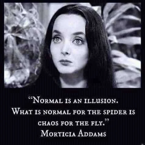FB_IMG_16005196205755427.jpg