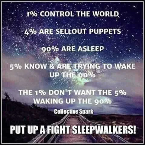 FB_IMG_16002389013149069.jpg