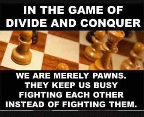 FB_IMG_15993242765911602.jpg
