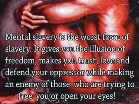 FB_IMG_16008368198430341.jpg