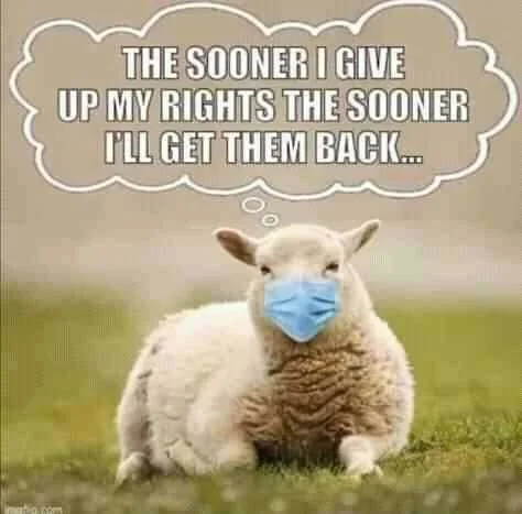 FB_IMG_16008366072965416.jpg