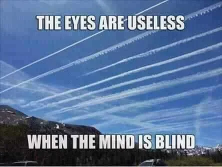FB_IMG_16008365952578988.jpg