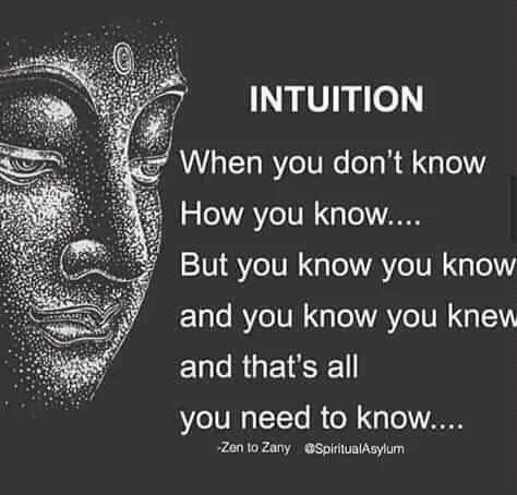 FB_IMG_16008363291847556.jpg