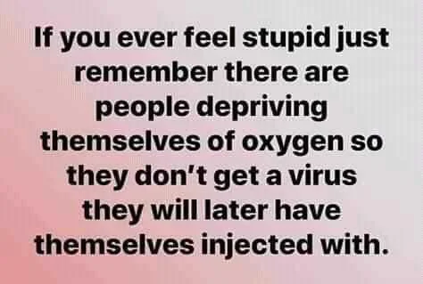 FB_IMG_16012237457917650.jpg