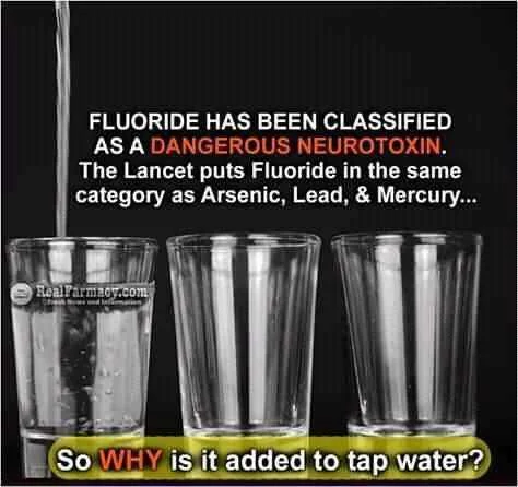 FB_IMG_16012235093507194.jpg