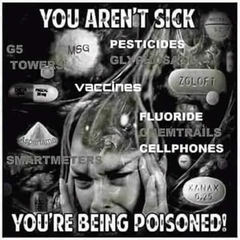 FB_IMG_16012226204216117.jpg