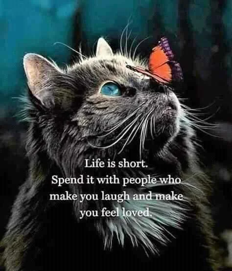 FB_IMG_16012222143840862.jpg