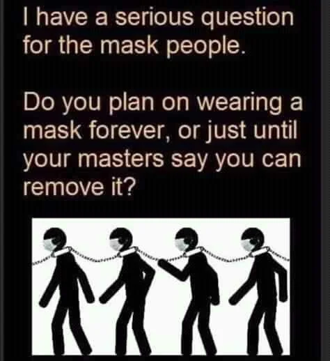 FB_IMG_16012221703474481.jpg