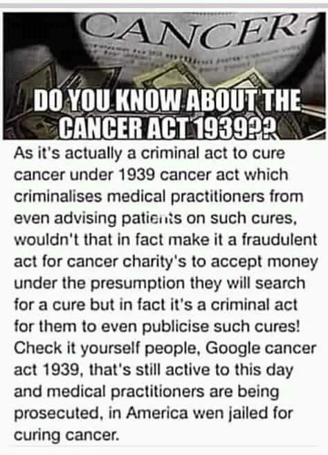 FB_IMG_16012219659776642.jpg