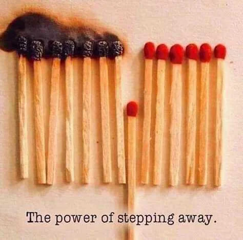 FB_IMG_16017078763094575.jpg