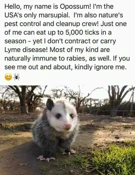 FB_IMG_16009333157295174.jpg
