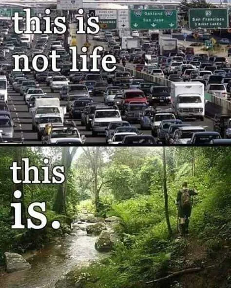 FB_IMG_16023234648925791.jpg