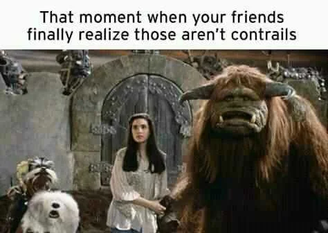 FB_IMG_16009330649604266.jpg