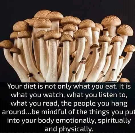 FB_IMG_16009328038255166.jpg