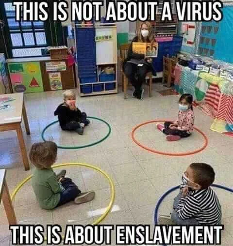 FB_IMG_16008615913934849.jpg